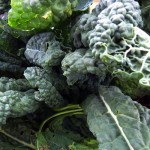Kale dietary source calcium